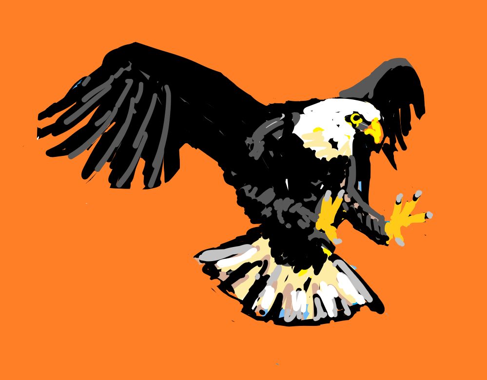 naw eagle on orange